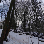 У парку «Сопільче» видалять три аварійні дерева