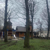 У Старому парку видалять чотири аварійні дерева